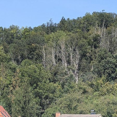 Ferienwohnung Mit Ausblick In Wimmelburg Kültér fotó