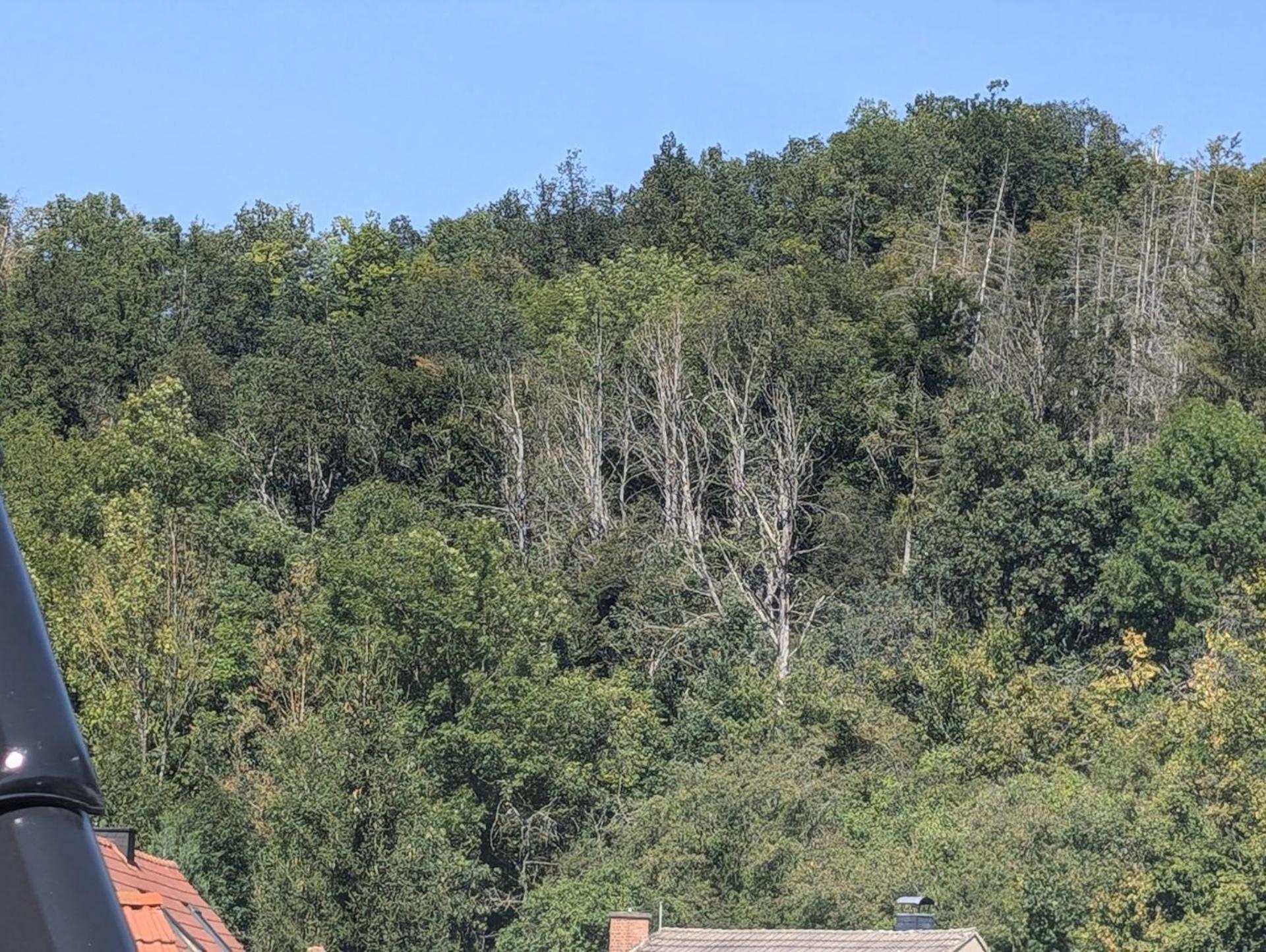 Ferienwohnung Mit Ausblick In Wimmelburg Kültér fotó